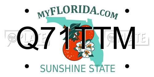 Q71TTM Florida License Plate