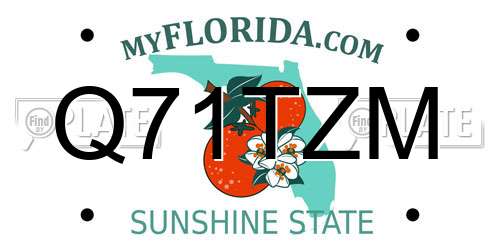 Q71TZM Florida License Plate