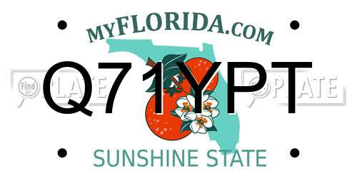 Q71YPT Florida License Plate