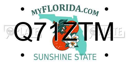 Q71ZTM Florida License Plate