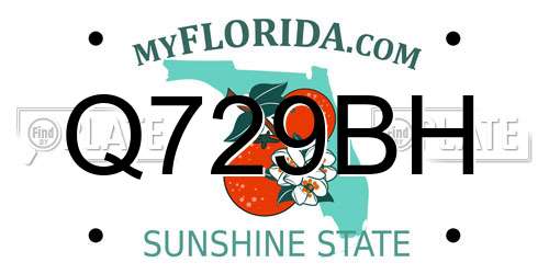 Q729BH Florida License Plate