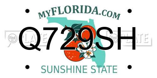 Q729SH Florida License Plate