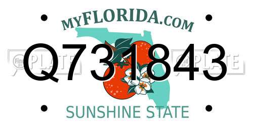 Q731843 Florida License Plate