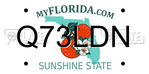 Q73LDN Florida License Plate
