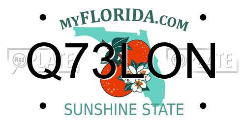 Q73LON Florida License Plate