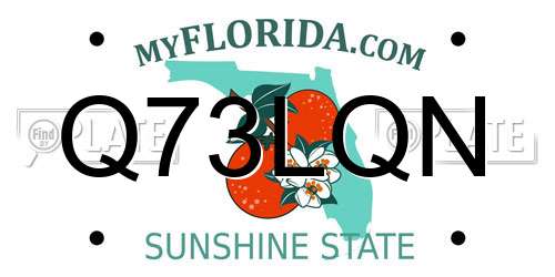 Q73LQN Florida License Plate