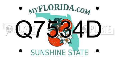 Q7534D Florida License Plate