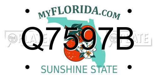 Q7597B Florida License Plate