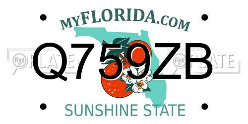 Q759ZB Florida License Plate