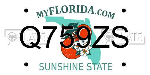 Q759ZS Florida License Plate