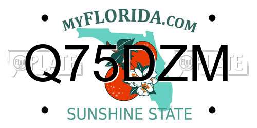 Q75DZM Florida License Plate