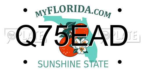 Q75EAD Florida License Plate