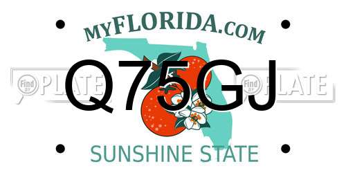 Q75GJ Florida License Plate