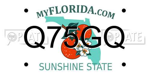 Q75GQ Florida License Plate