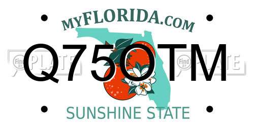 Q75OTM Florida License Plate
