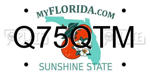 Q75QTM Florida License Plate
