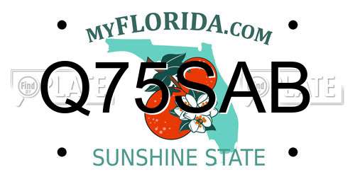 Q75SAB Florida License Plate