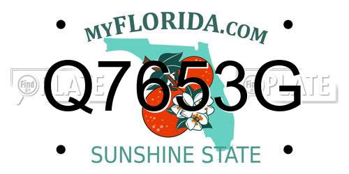 Q7653G Florida License Plate
