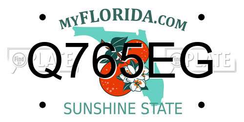 Q765EG Florida License Plate