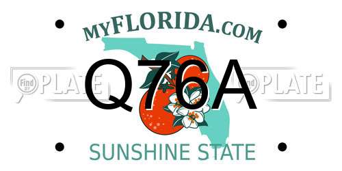 Q76A Florida License Plate