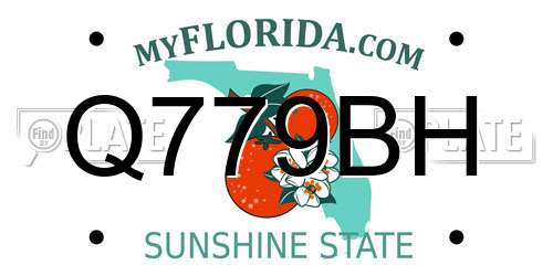 Q779BH Florida License Plate