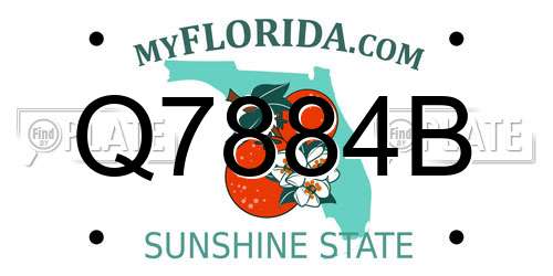 Q7884B Florida License Plate