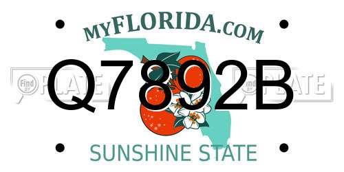 Q7892B Florida License Plate