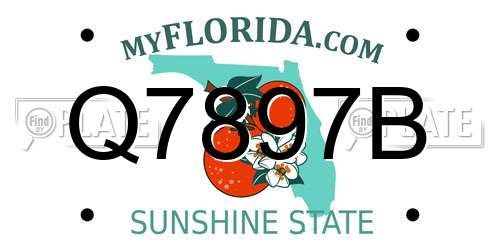 Q7897B Florida License Plate