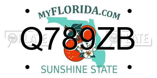 Q789ZB Florida License Plate