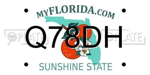 Q78DH Florida License Plate