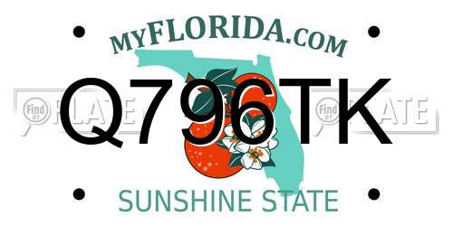 Q796TK Florida License Plate
