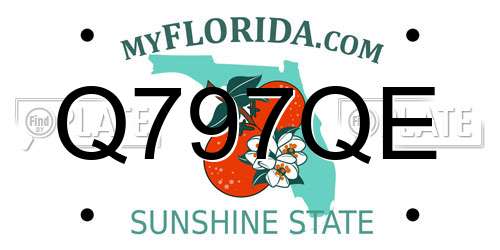 Q797QE Florida License Plate