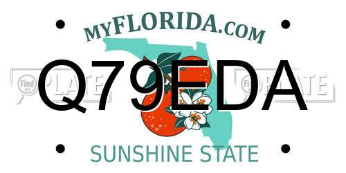 Q79EDA Florida License Plate