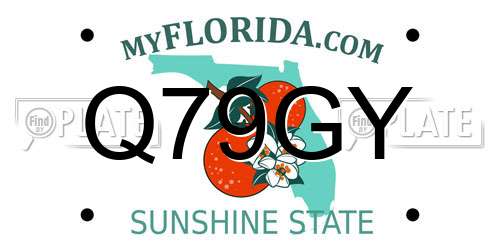 Q79GY Florida License Plate