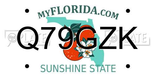 Q79GZK Florida License Plate