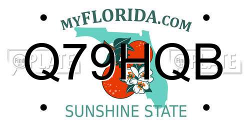 Q79HQB Florida License Plate