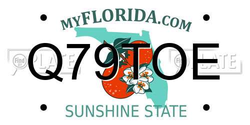 Q79TOE Florida License Plate