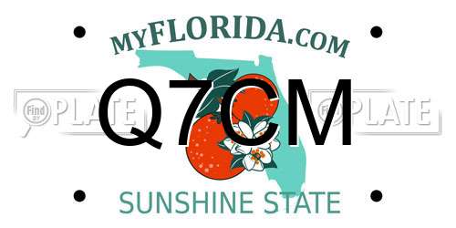 Q7CM Florida License Plate