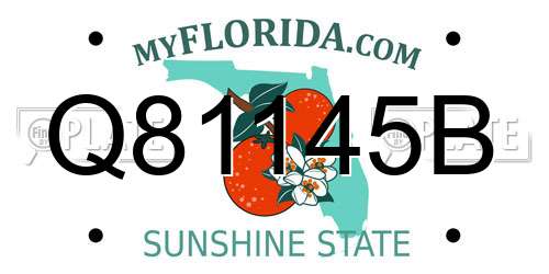 Q81145B Florida License Plate
