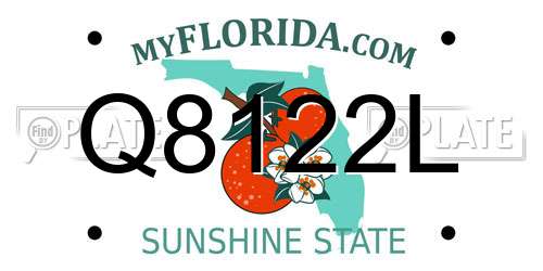 Q8122L Florida License Plate
