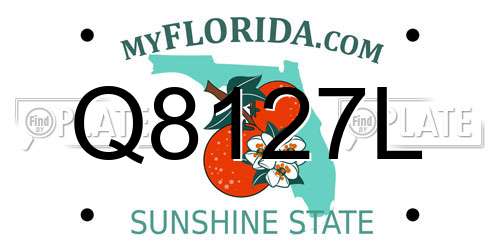 Q8127L Florida License Plate