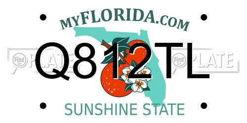 Q812TL Florida License Plate