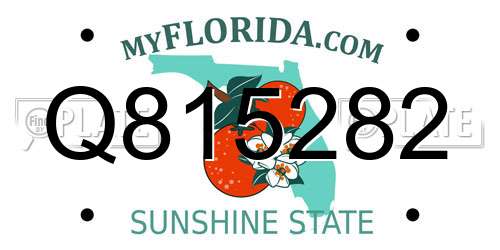 Q815282 Florida License Plate