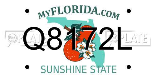 Q8172L Florida License Plate