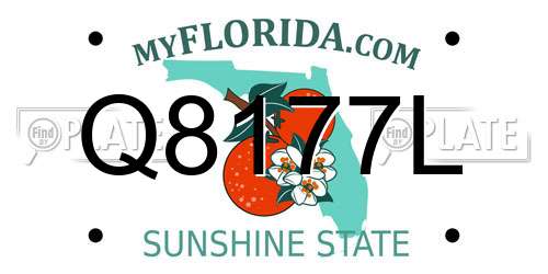 Q8177L Florida License Plate