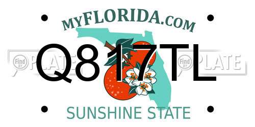 Q817TL Florida License Plate