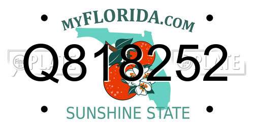 Q818252 Florida License Plate
