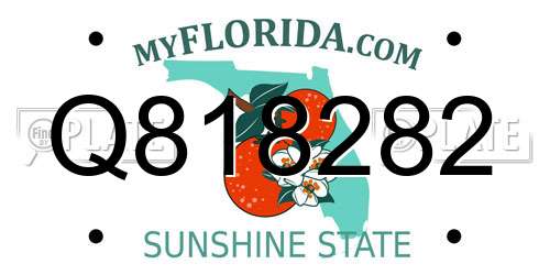 Q818282 Florida License Plate