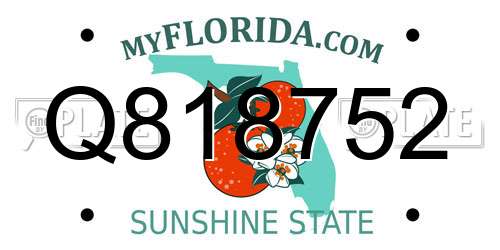 Q818752 Florida License Plate