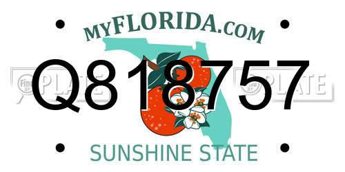 Q818757 Florida License Plate
